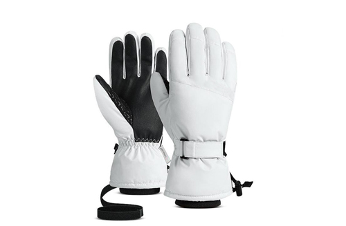 Ski Gloves